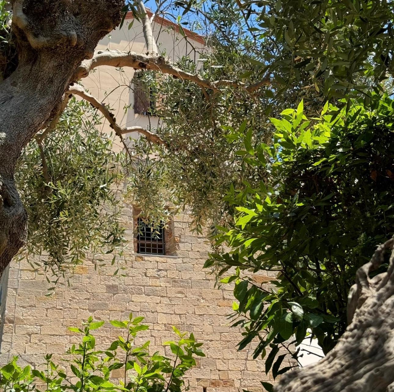 스카를리노 Madonna Del Poggio Cav 아파트 호텔 외부 사진