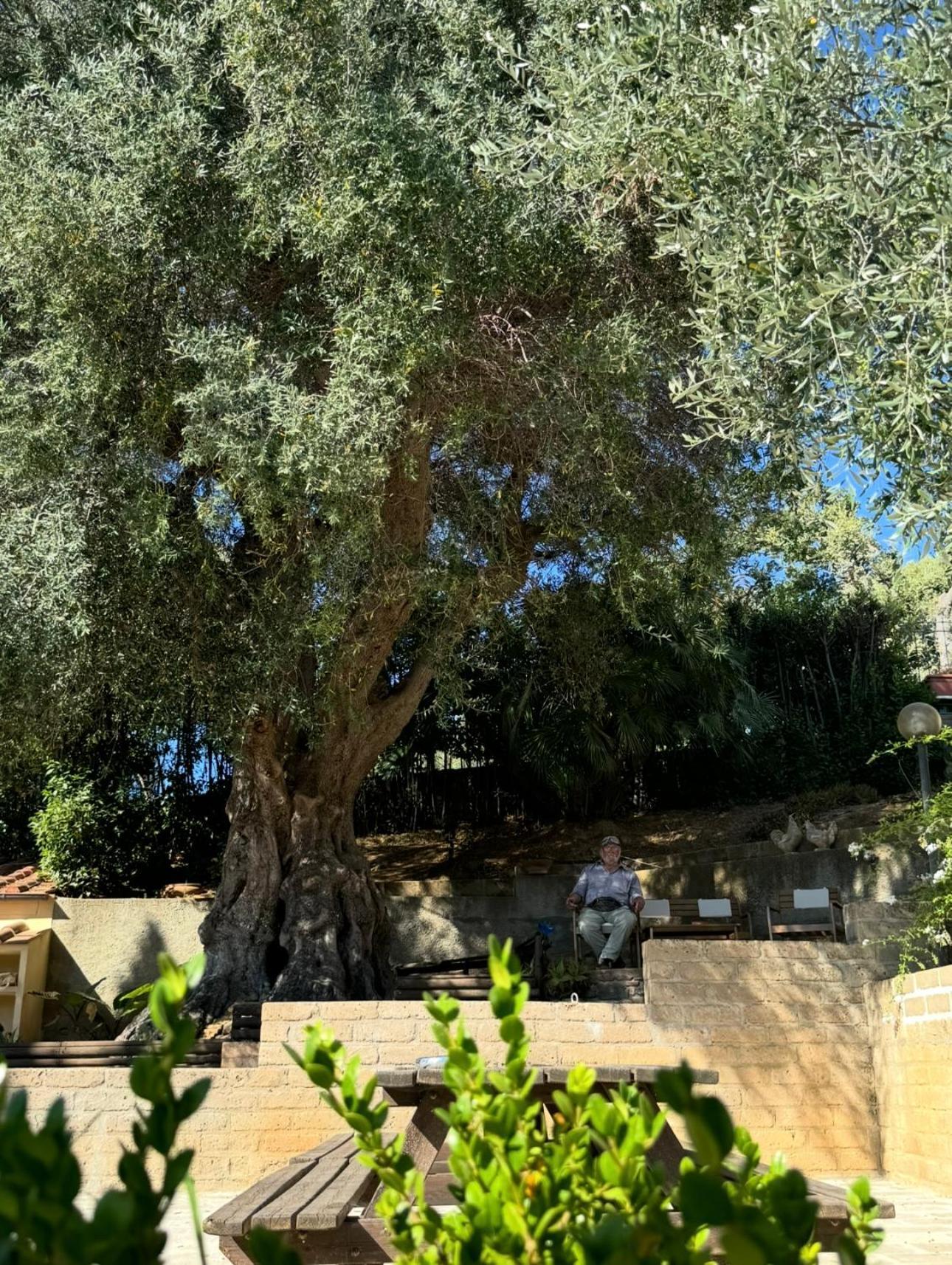 스카를리노 Madonna Del Poggio Cav 아파트 호텔 외부 사진